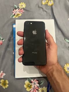 iphone 8 64 gb 81% health pta approved