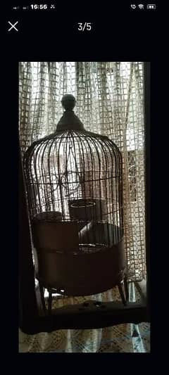 bird cage