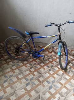 Phoenix bicycle urgent sell