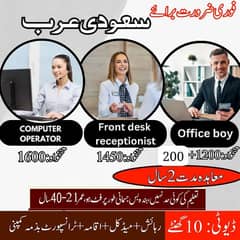 Computer Operator, Office Boy,Receptionist