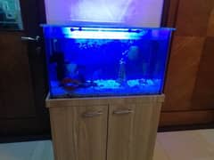 Fish aquarium all service available in Lahore