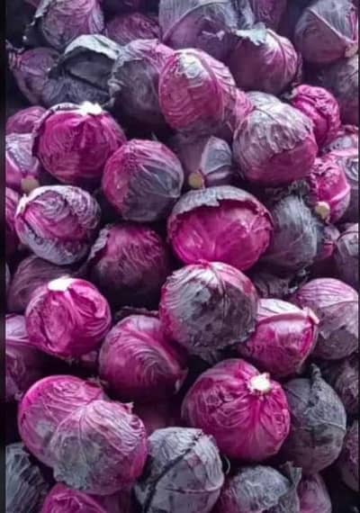 All English,thai,chines , local Vegetables business
