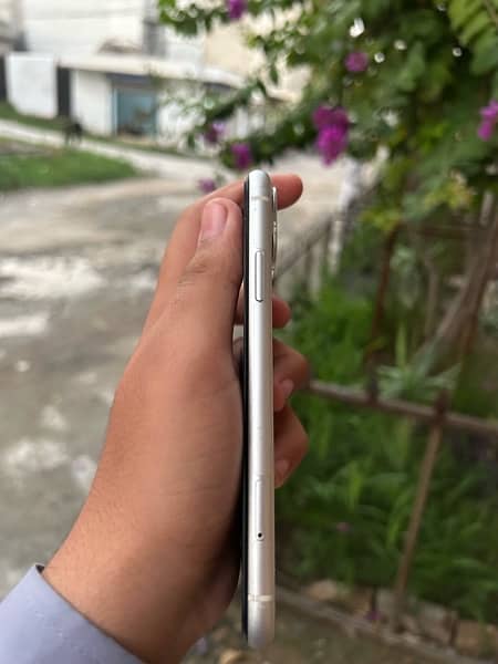 IPHONE 11 pta approoved 3