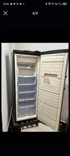 Panatron Freezer for sale