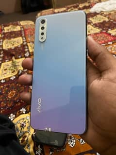 vivo