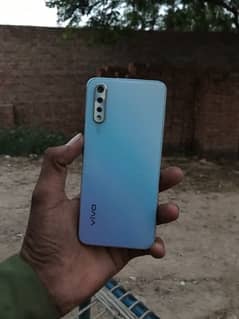 vivo