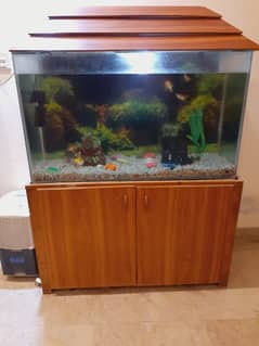 Wooden fish Aquarium with 8 fishes 1 big catfish