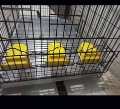 master cage length 3ft /2.5ft width 10/9 condition