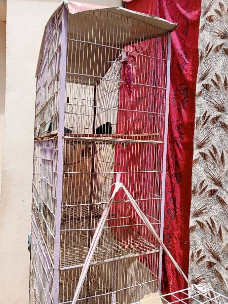 hens cage for sale (pinjra) 4