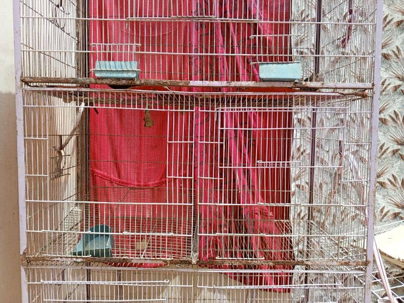 hens cage for sale (pinjra) 5