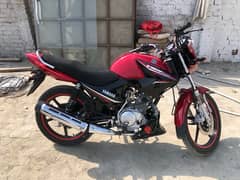 Yamaha ybr 125