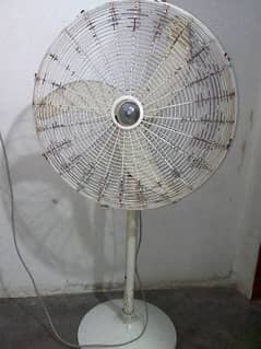 Esssa Fan pure copper