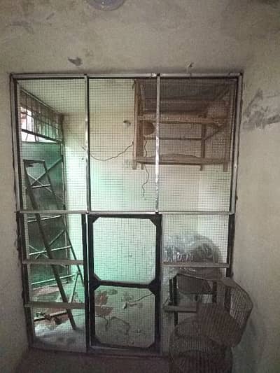 Birds Colony frame. . . 
5.7×7.7