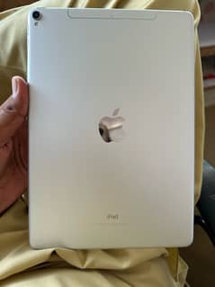 Apple iped pro 256GB