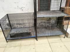 parrots cage and wooden boxes