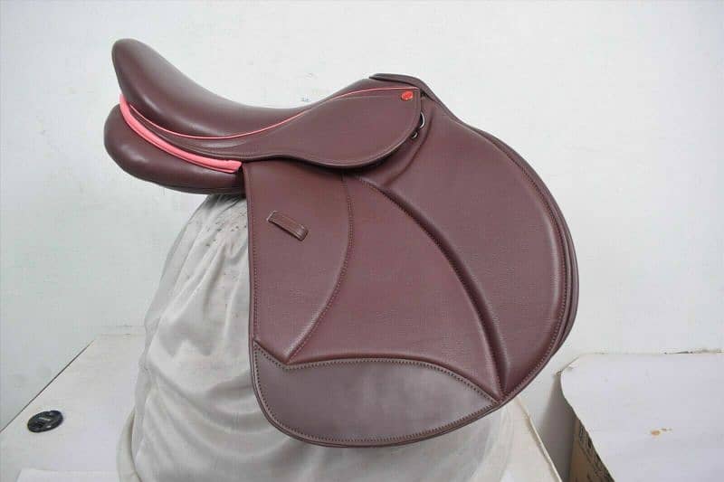 Horse Saddle 2