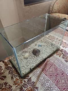 Aquarium for Sale