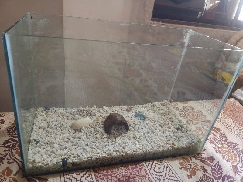 Aquarium for Sale 2