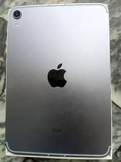 ipad mini 6