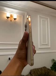 Iphone 12 pro Max 128 GB PTA Approved Gold 10/10 condition