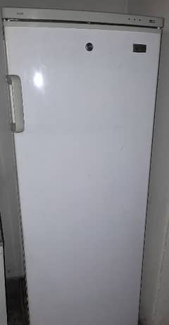 SG Imported Vertical Freezer