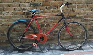 phoenix bicycle 4 sale