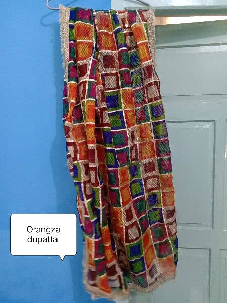 Vibrant Organza Dupatta for Sale 1