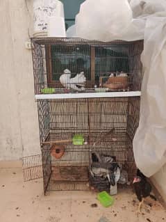 4 floor 8 partition Cage for sale for Parrots | Pigeon | Love birds 0