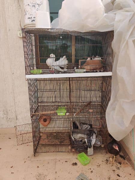 4 floor 8 partition Cage for sale for Parrots | Pigeon | Love birds 1