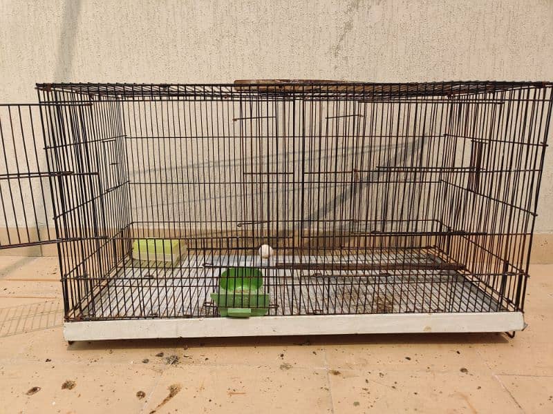 4 floor 8 partition Cage for sale for Parrots | Pigeon | Love birds 2