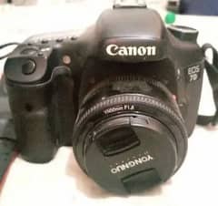 Canon 7d 50mm lens 1.8