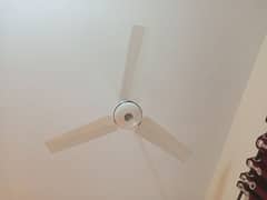 celling fan new condition