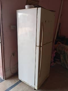 fridge