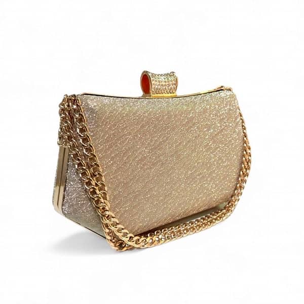 Women's Plastic Textured Fancy Clutch 2