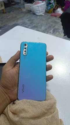 vivo