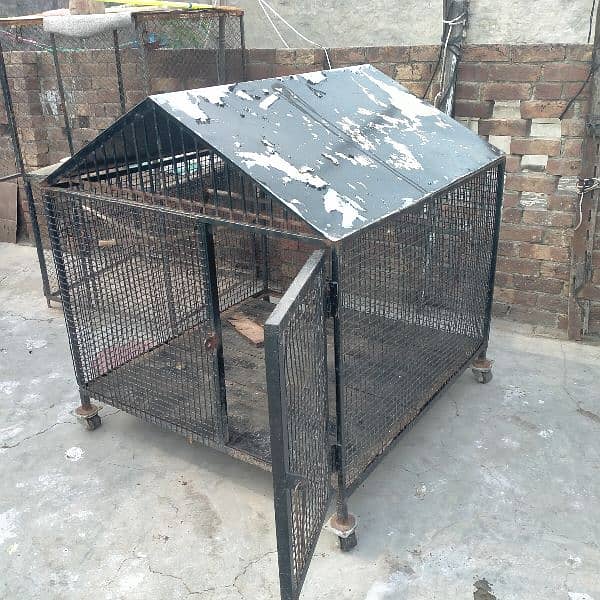 iron cage for sale 1