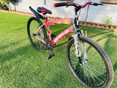 brand new GOODWIN  MTB full size (0309-5420395)