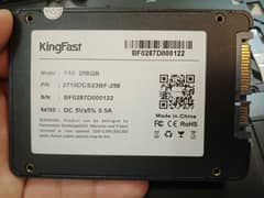 king fast ssd 256gb