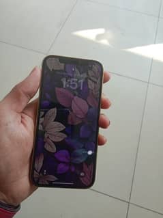 iPhone 12 Pro pta approve dual