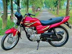 Yamaha YBZ 125