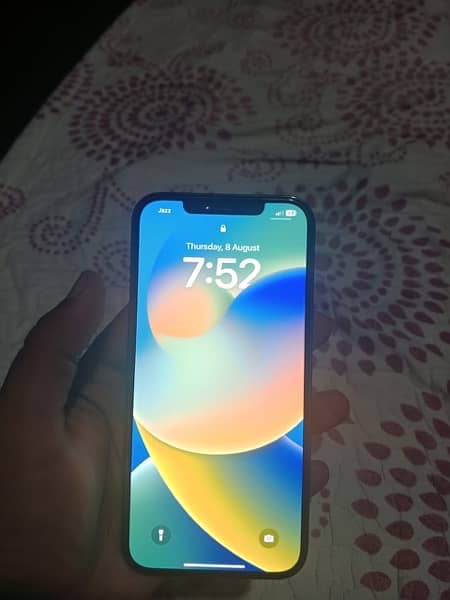 iPhone 12 Pro Max 256 GB PTA Approved 1