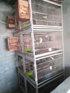 5 portions heavy cage 10 no wire, each portion can separate