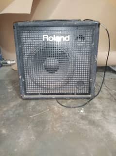 Speaker Roland