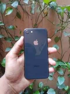 i phone 8 64gb non PTA waterpack