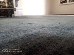 soft carpet clean