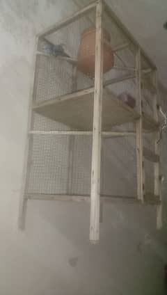 pinjra cage for birds