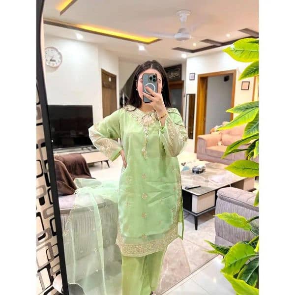 3 Pcs Women's Stitched Organza Embroidered Suit 3