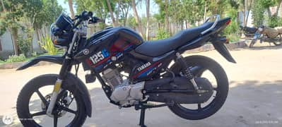 Yamaha YBR 125G available in Mirpurkhas