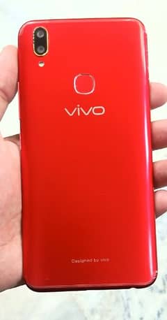 Vivo