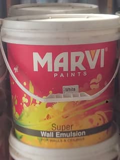 Marvi paints